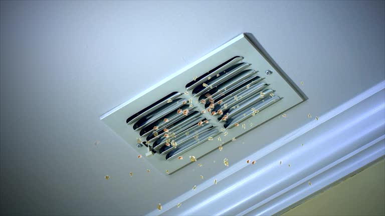 Best HVAC Duct Inspection Services  in Bull Shoals, AR
